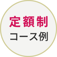 定額制コース例